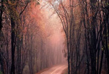 决胜瞬间：中国女足激动人心