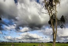 奥地利遭受意外失利，憾失欧锦赛决赛资格