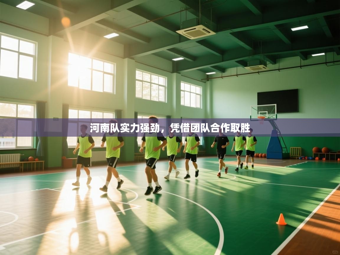 河南队实力强劲，凭借团队合作取胜  第2张